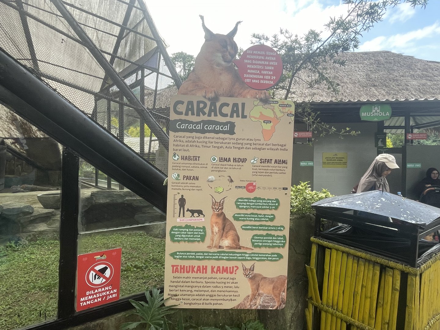 caracal signage (2)