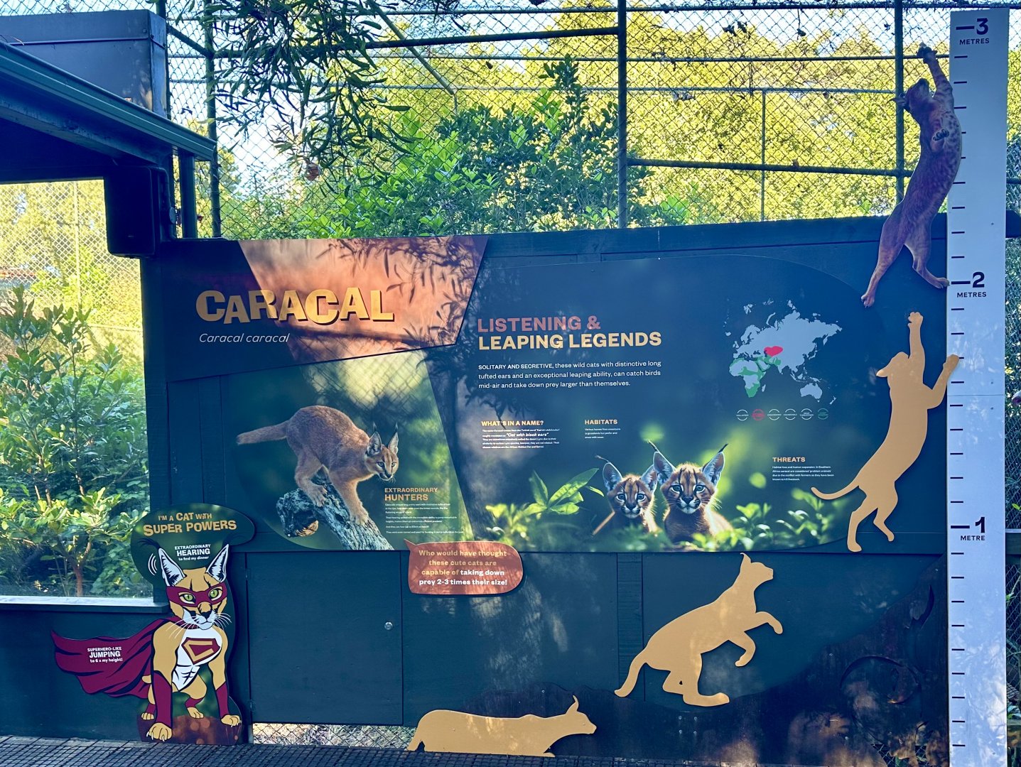 Caracal Signage