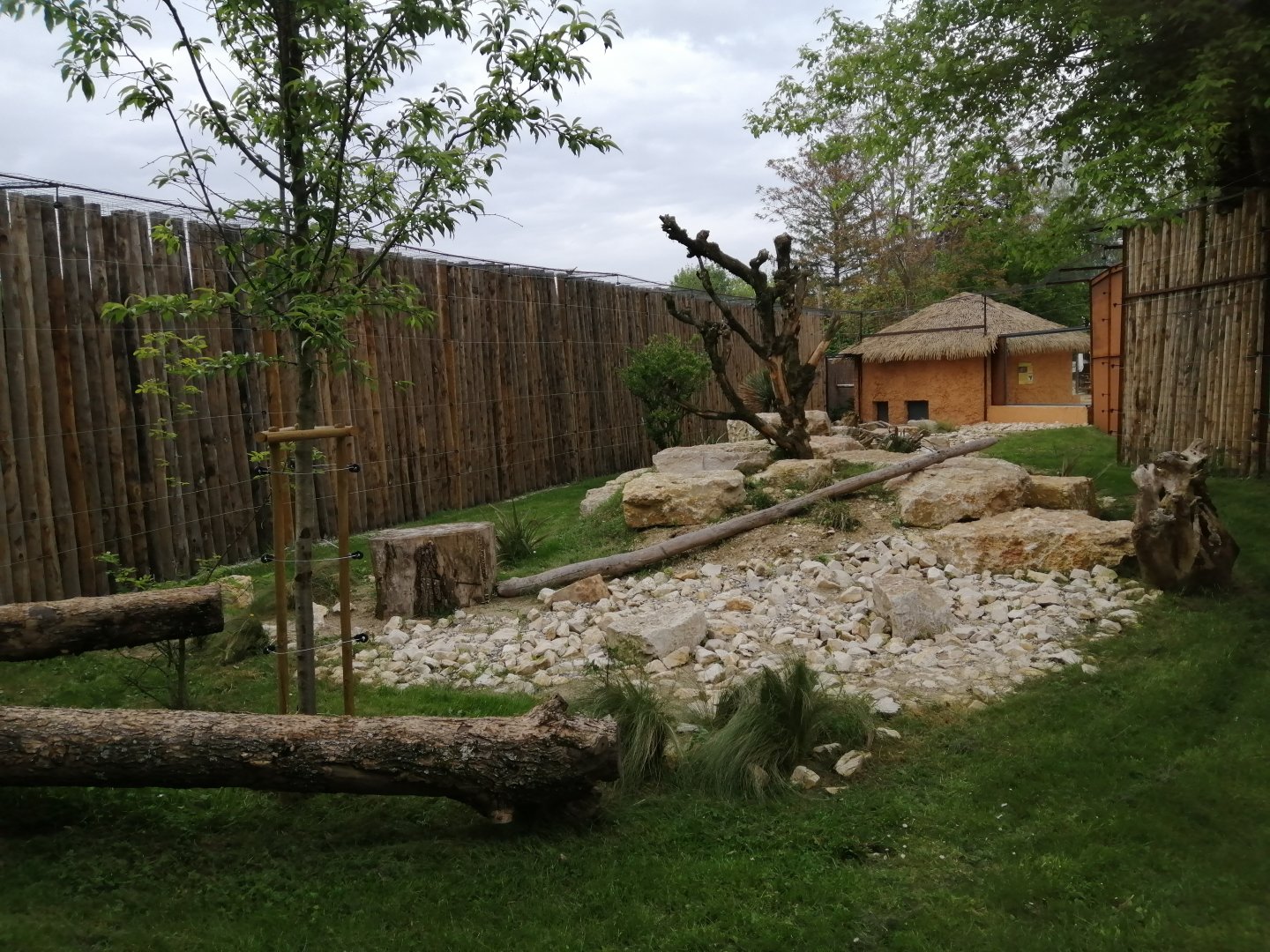 Caracals exhibit