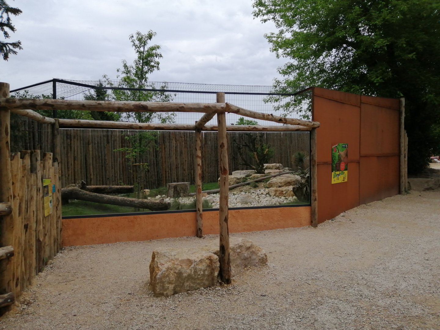 Caracals exhibit