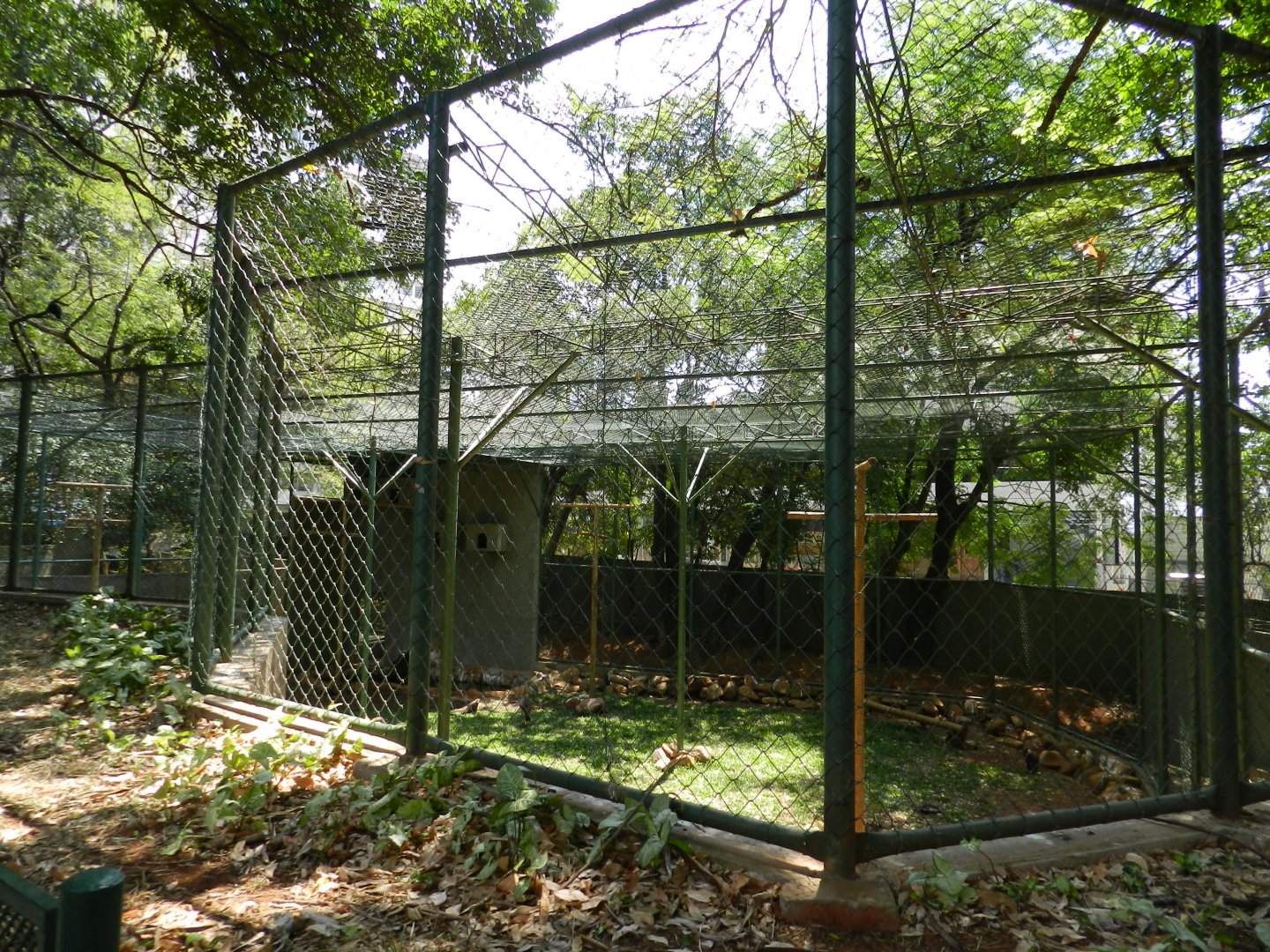 Caracara and seriema exhibit - Campinas zoo (BDJ)