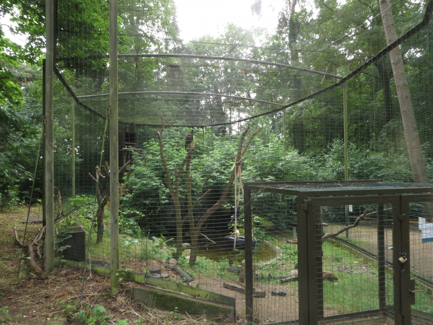 Caracara aviary