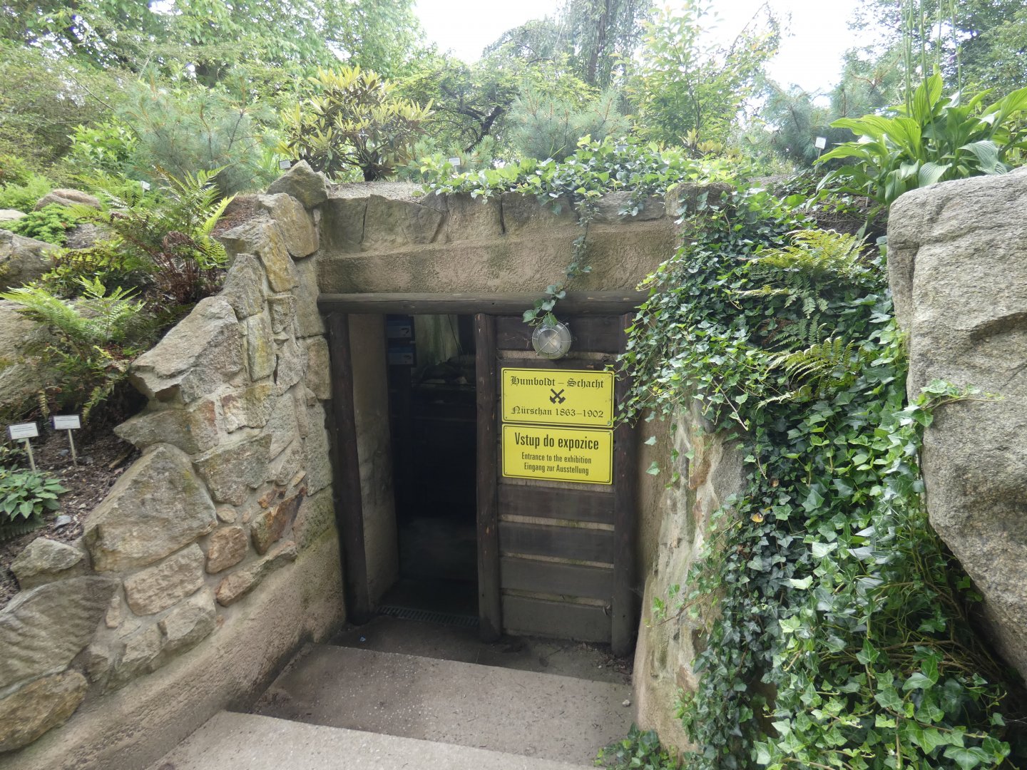Carboniferous forest display entrance