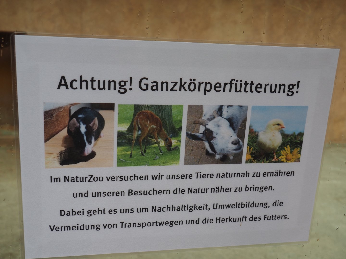 Carcass feeding signage, 2025-05-22