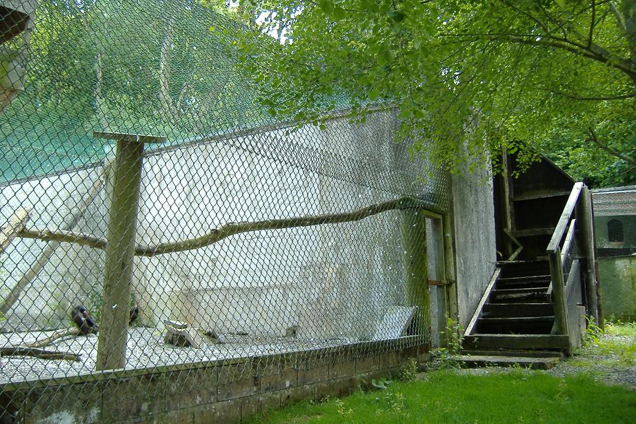 Cardiff Zoo Bear dens
