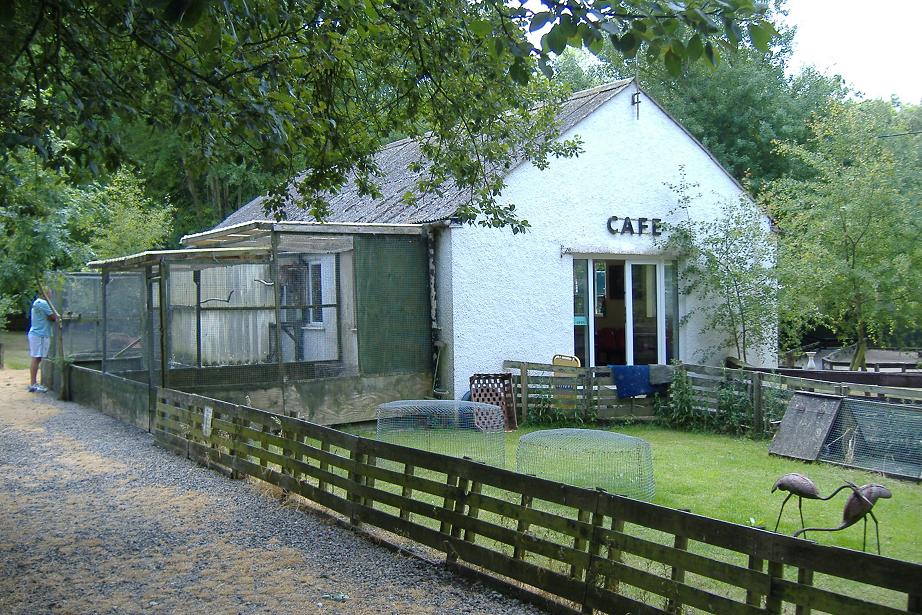 Cardiff Zoo Cafe