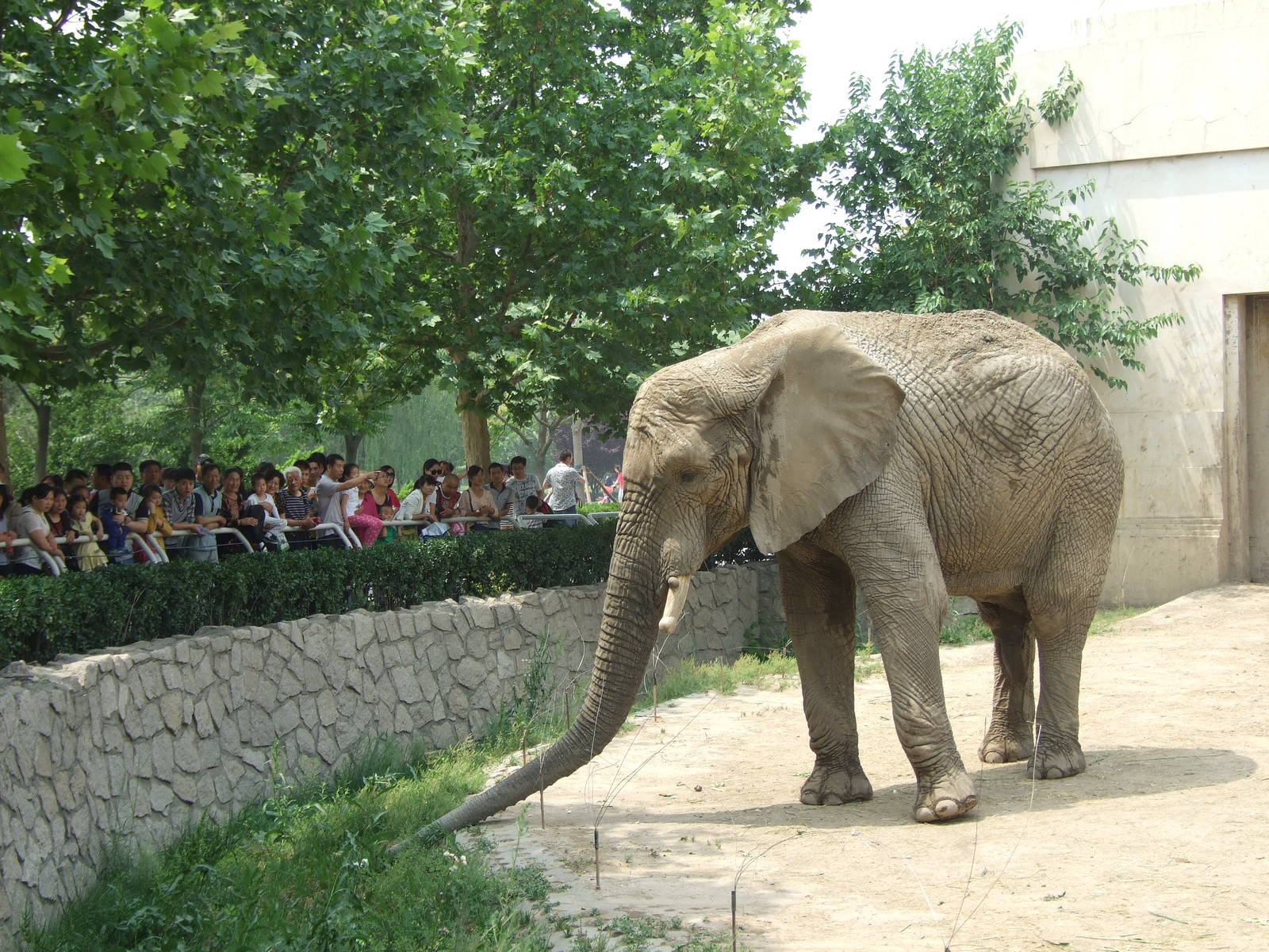 Careful of electricity