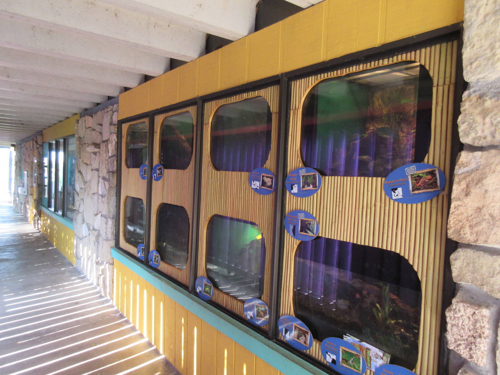 Caribbbean Cove - Assorted Terrariums