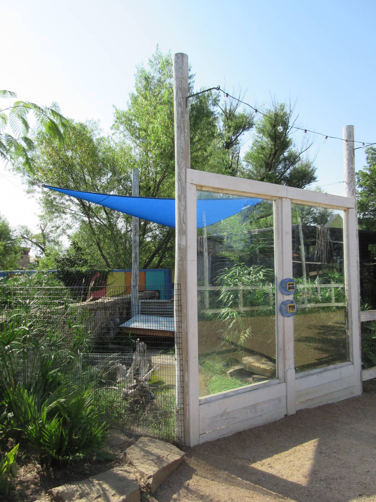 Caribbbean Cove - Dwarf Caiman/Black Wood Turtle Exhibit