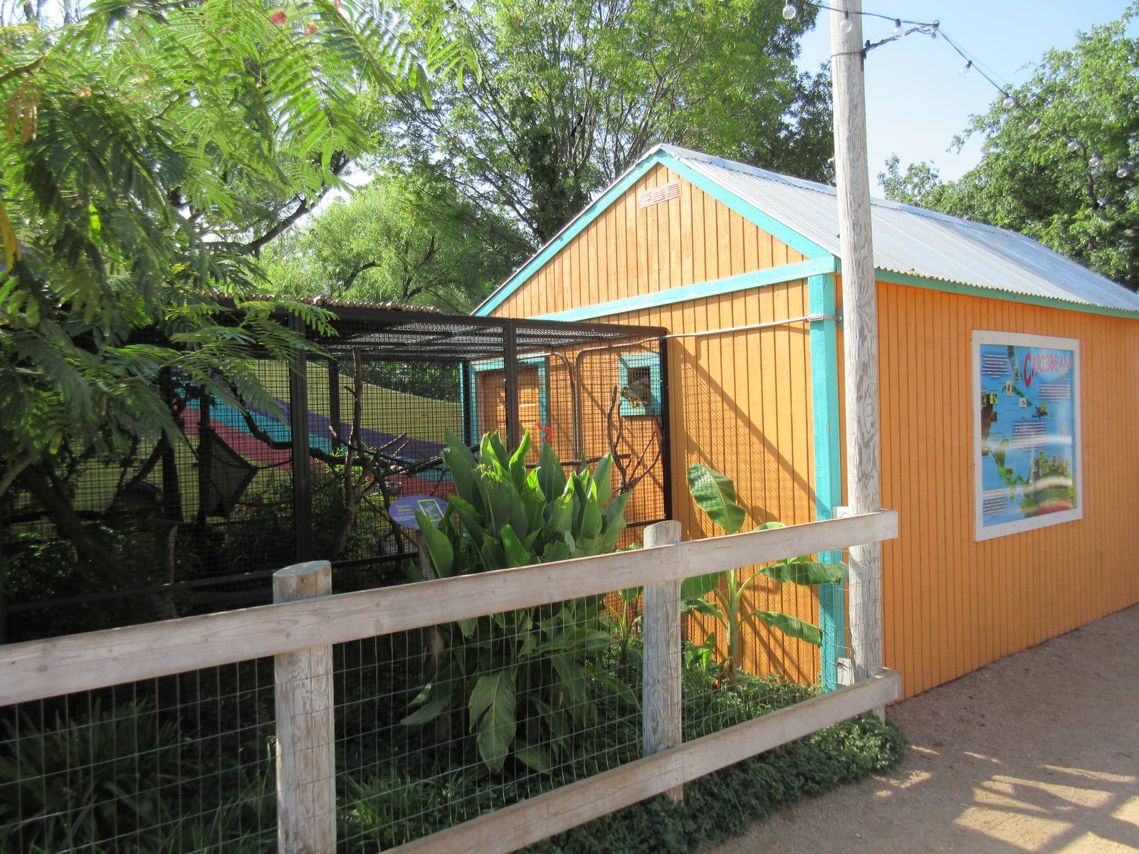 Caribbbean Cove - Squirrel Monkey Exhibit