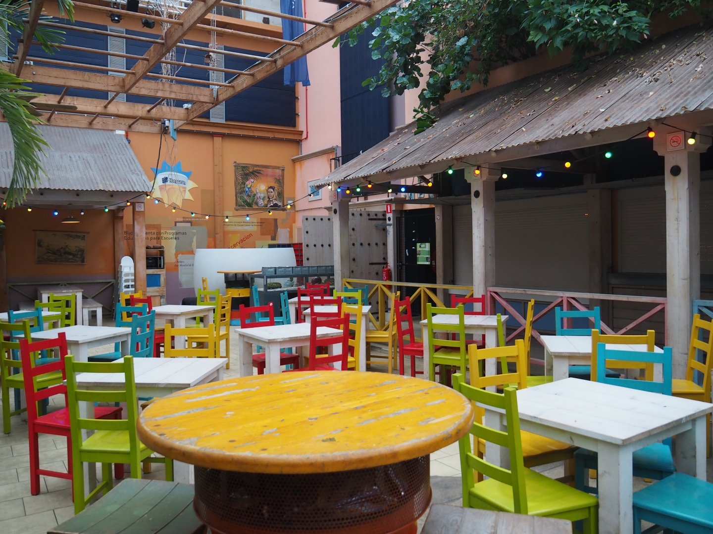 Caribbean Café area (Nov 10th, 2018)