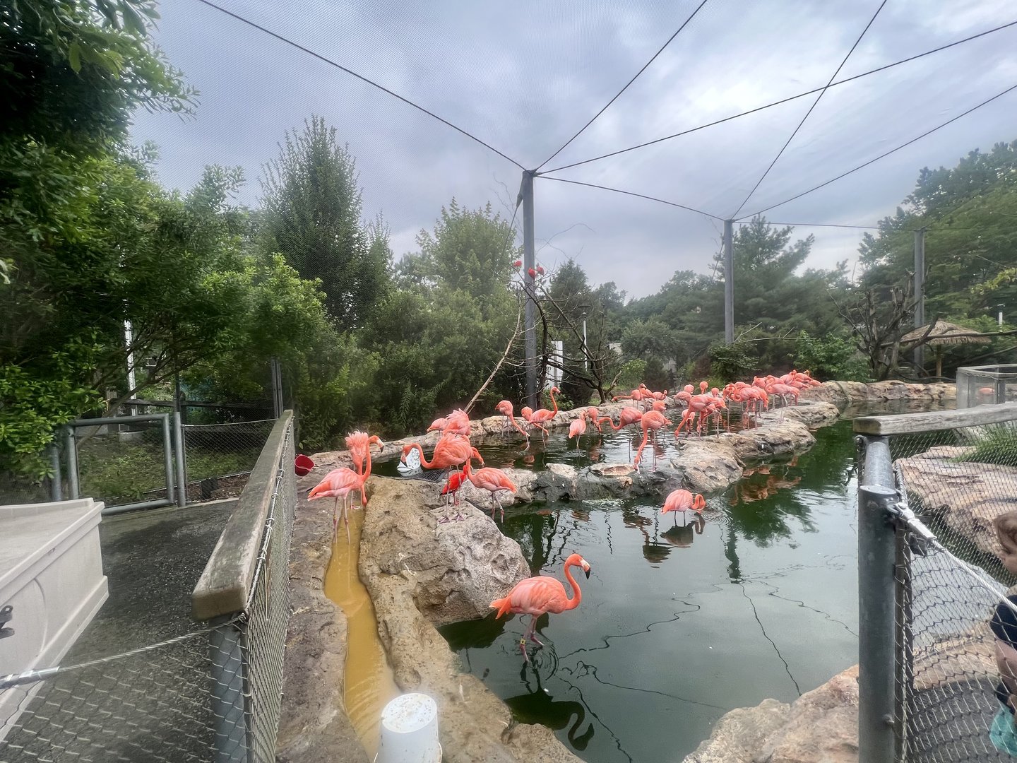 Caribbean Coast Exhibit