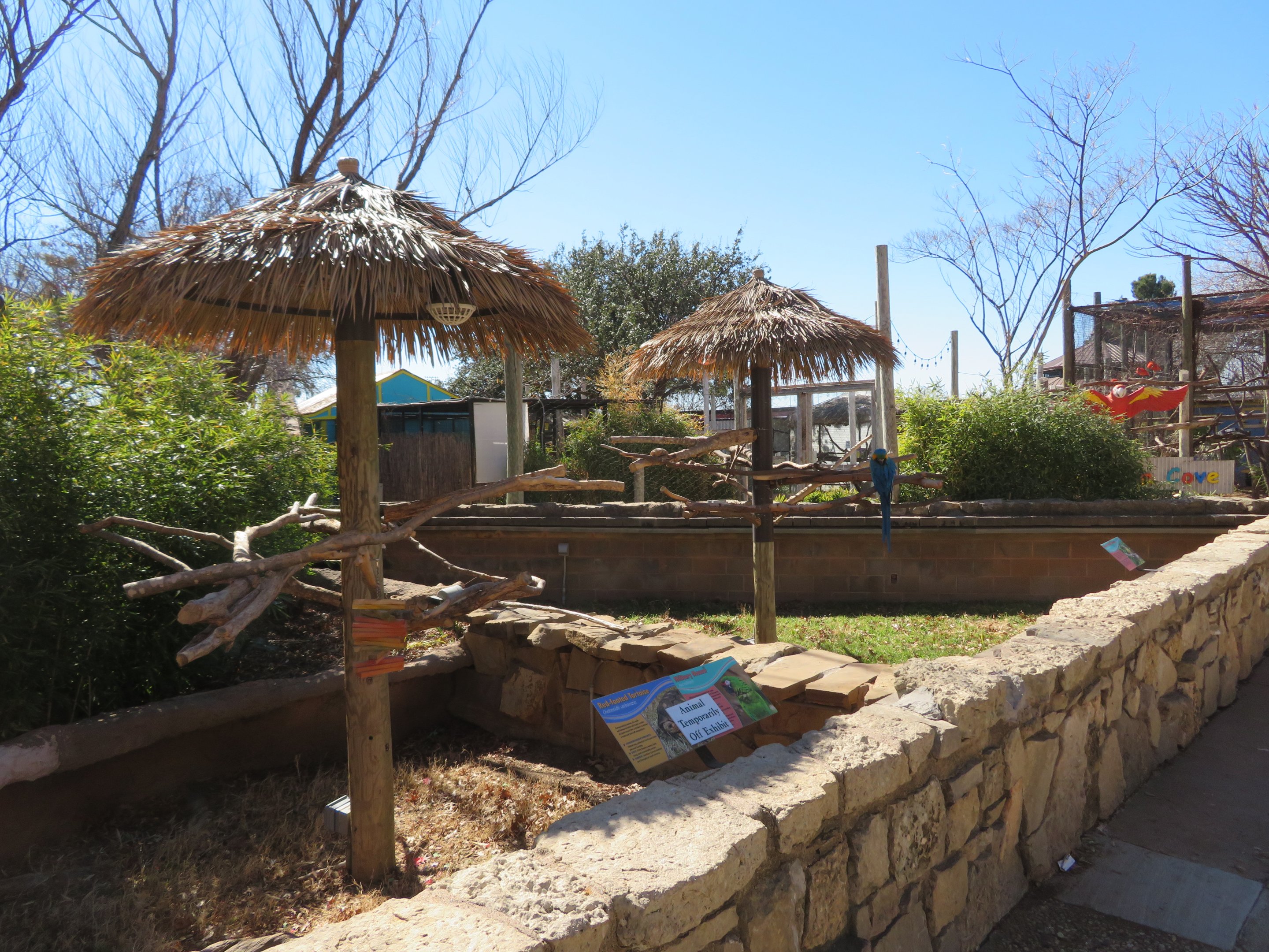 Caribbean Cove - Macaw/Tortoise Exhibit
