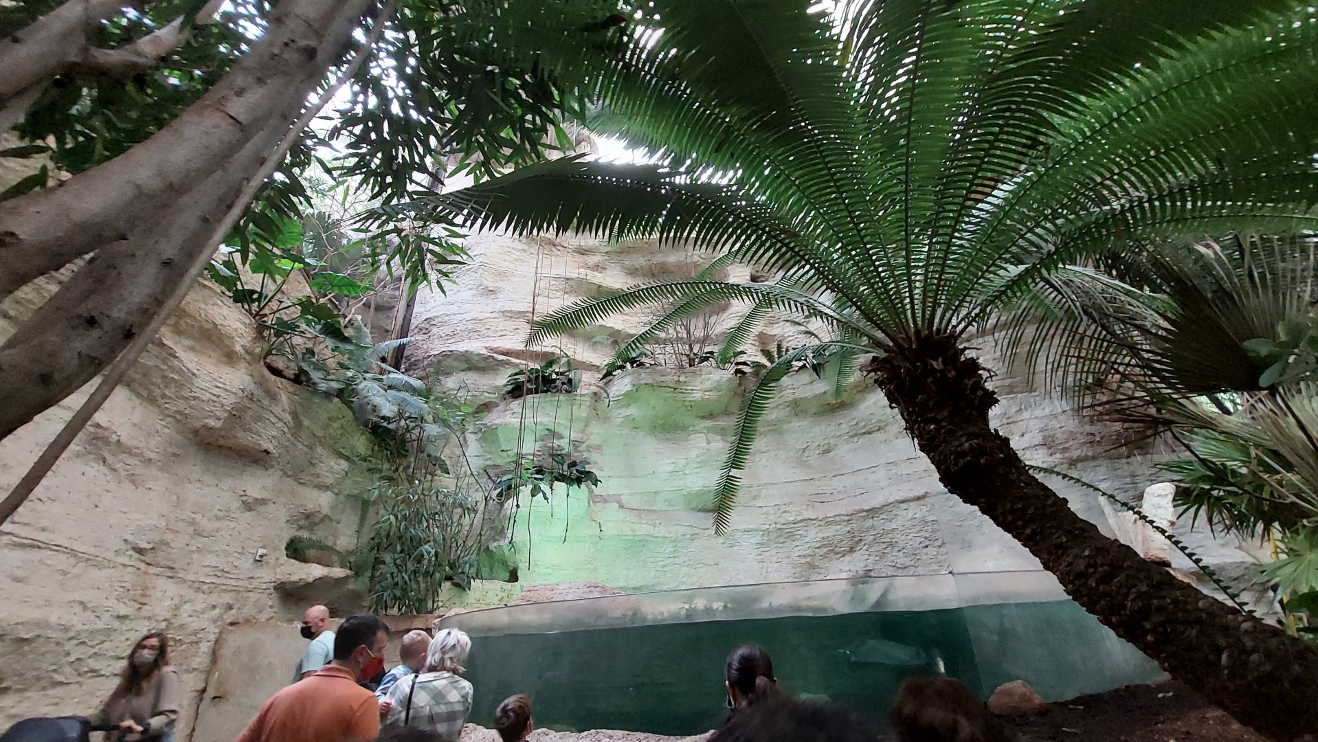 Caribbean Creatures tank