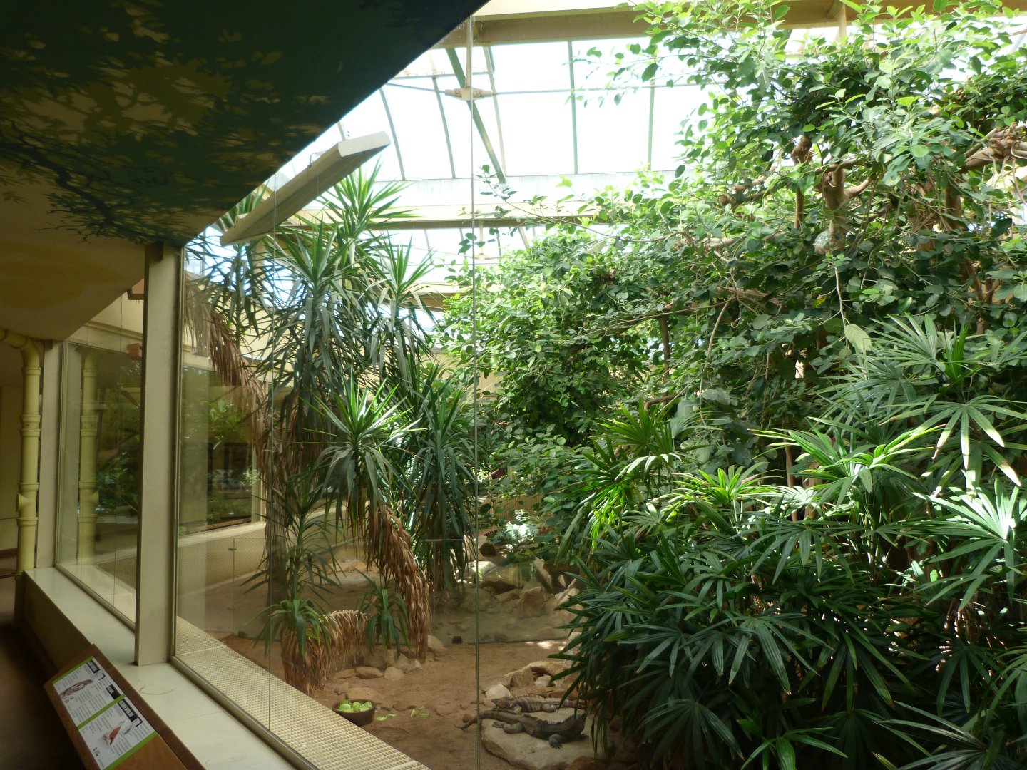 Caribbean exhibit -Zoo Praha (2025)