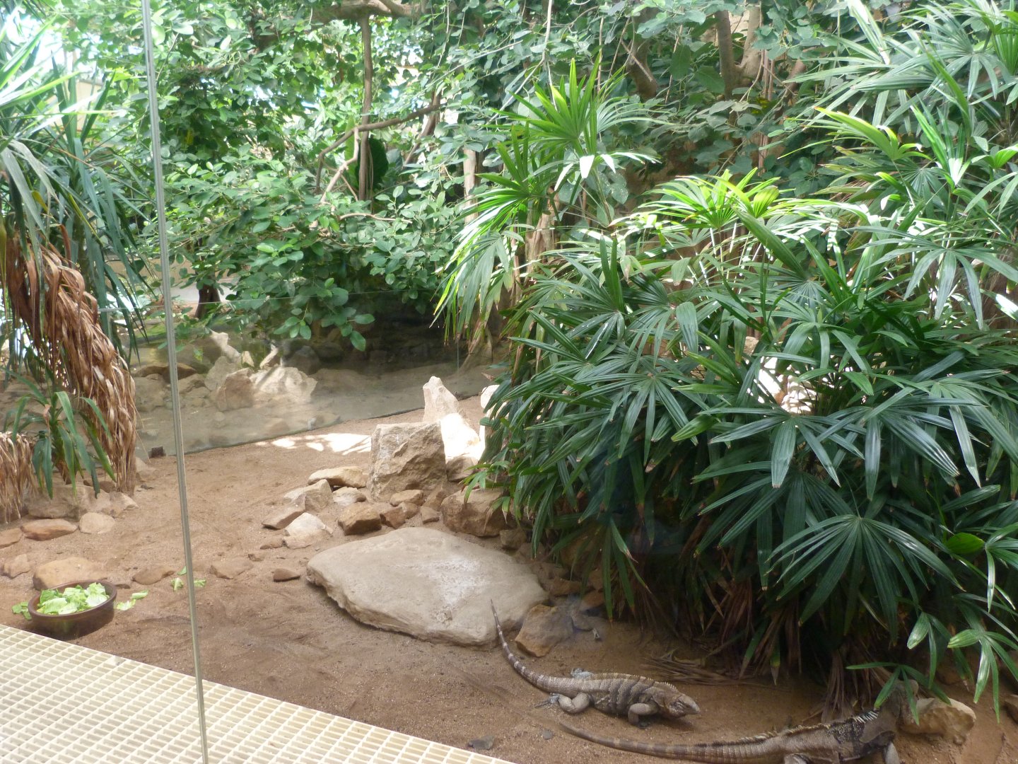 Caribbean exhibit -Zoo Praha (2025)