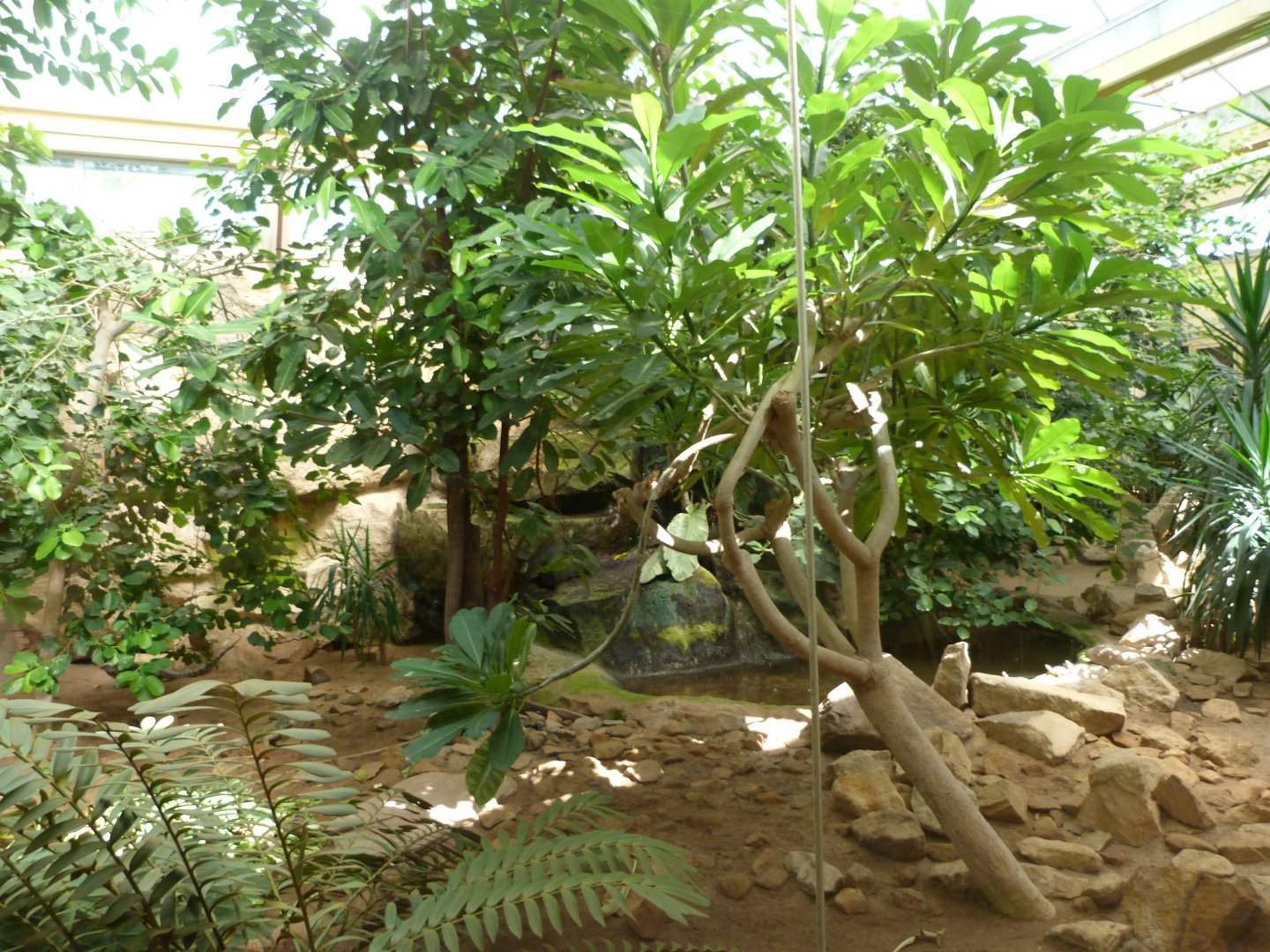 Caribbean exhibit -Zoo Praha (2025)