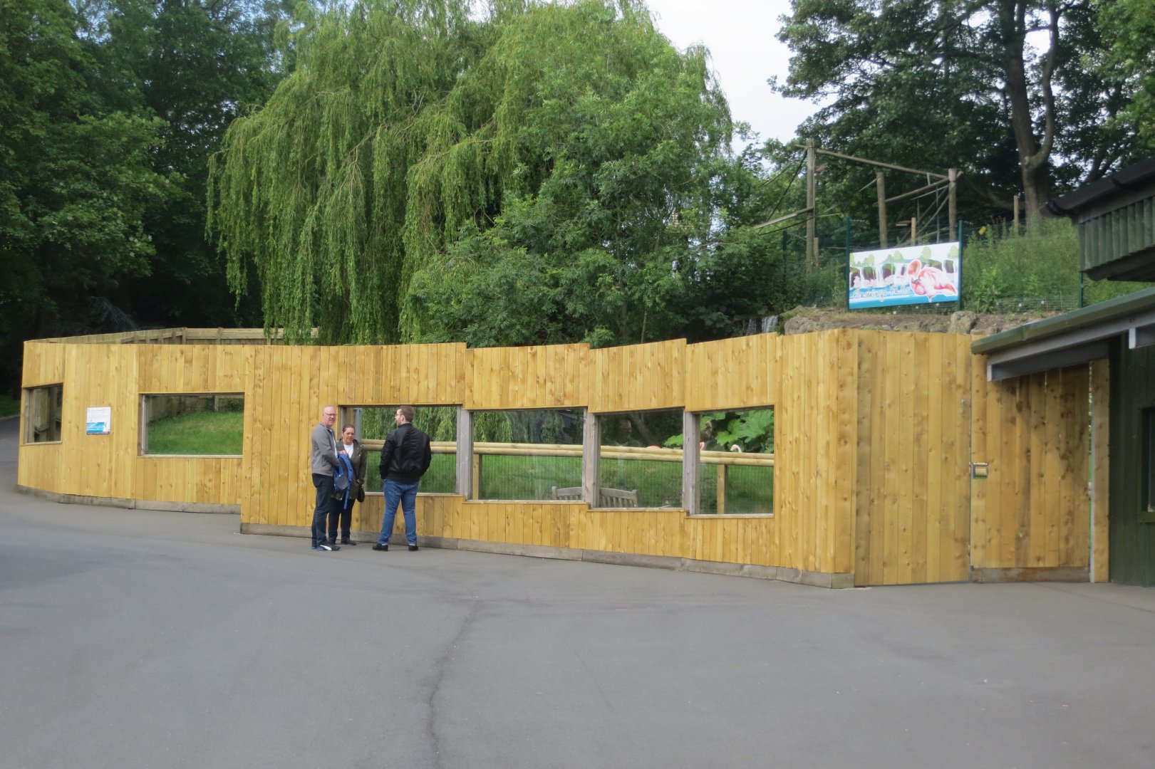 Caribbean flamingo enclosure 230619