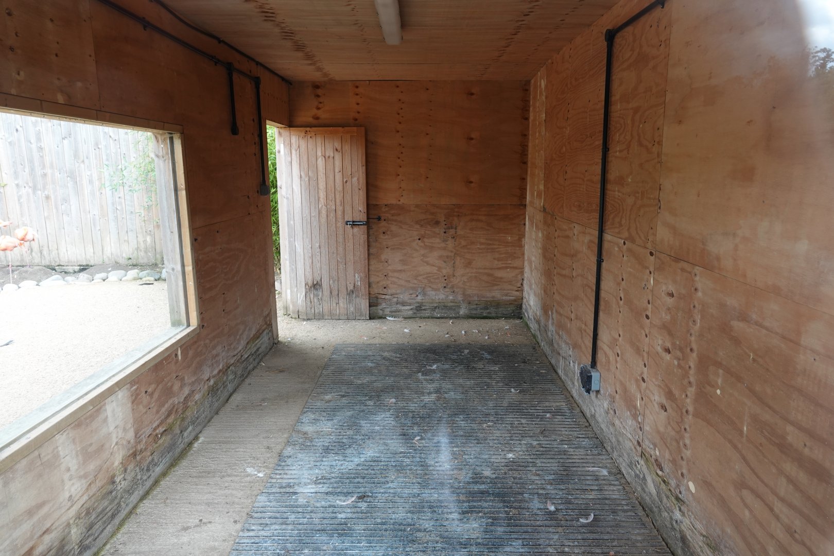 Caribbean flamingo house