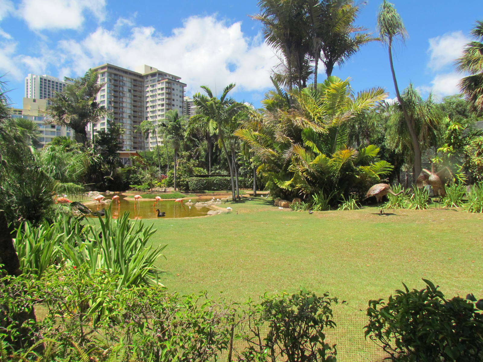 Caribbean Flamingo Lagoon