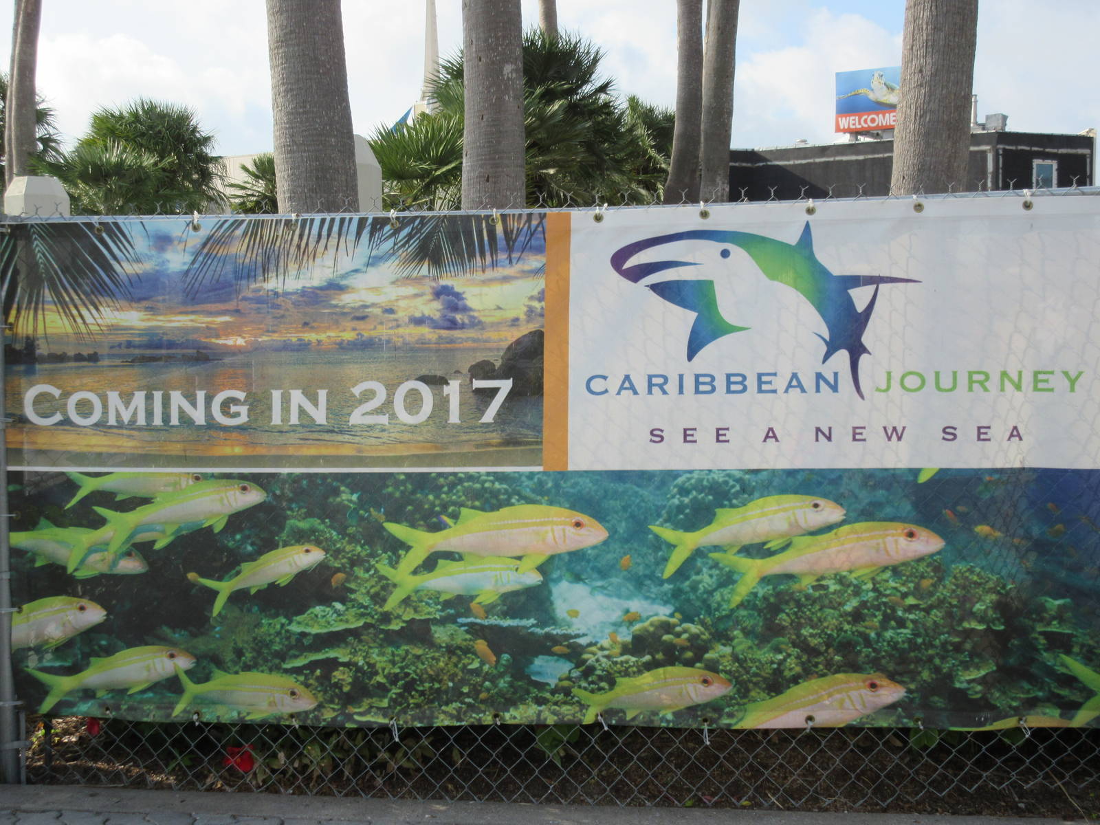 Caribbean Journey ($50 million expansion)