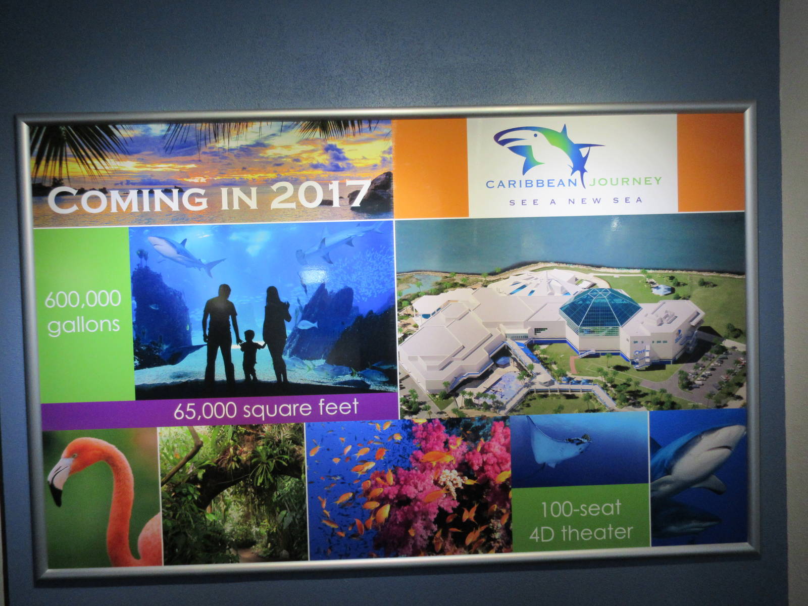 Caribbean Journey ($50 million expansion)