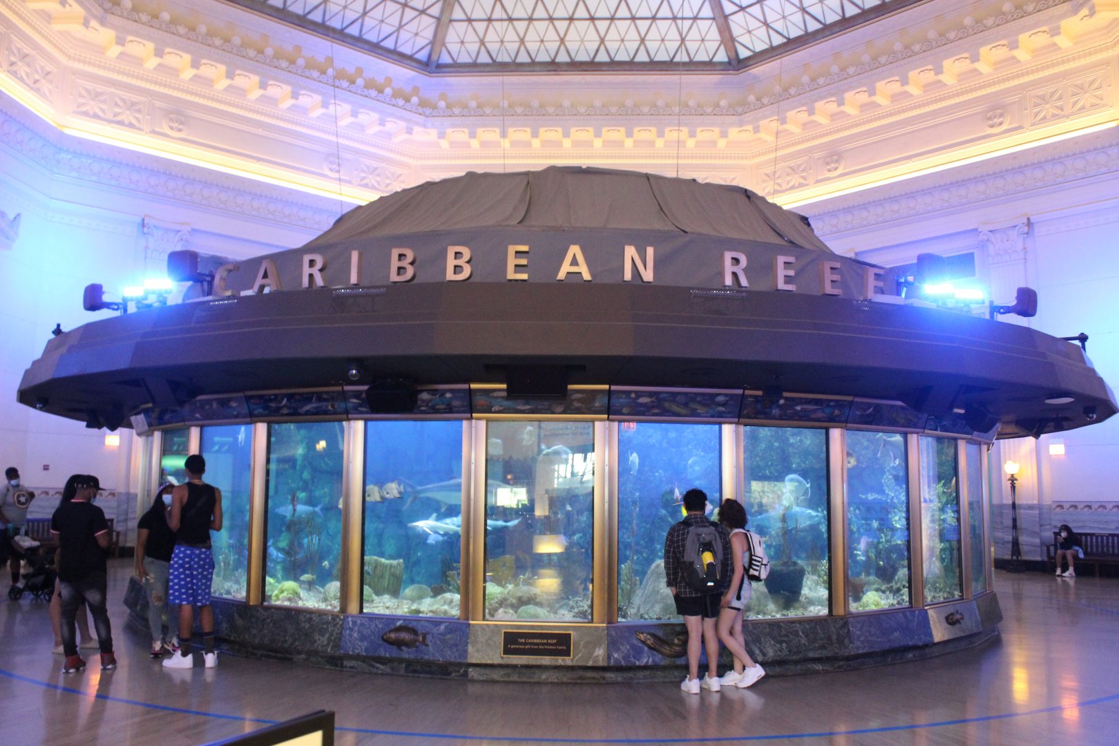 Caribbean Reef Tank