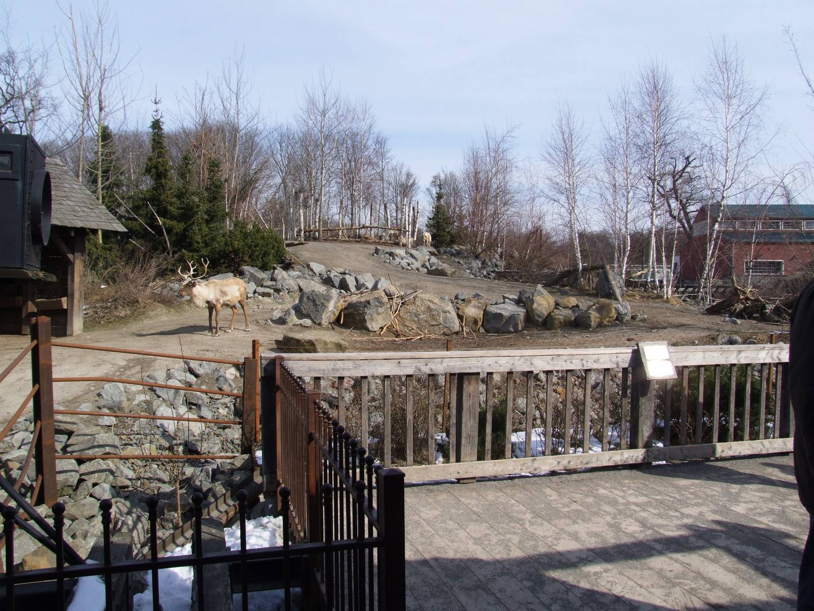 Caribou Exhibit at Hannover, 23/03/13