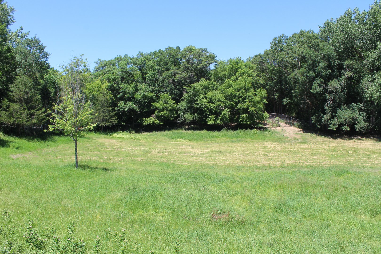 Caribou Exhibit - Northern Trail