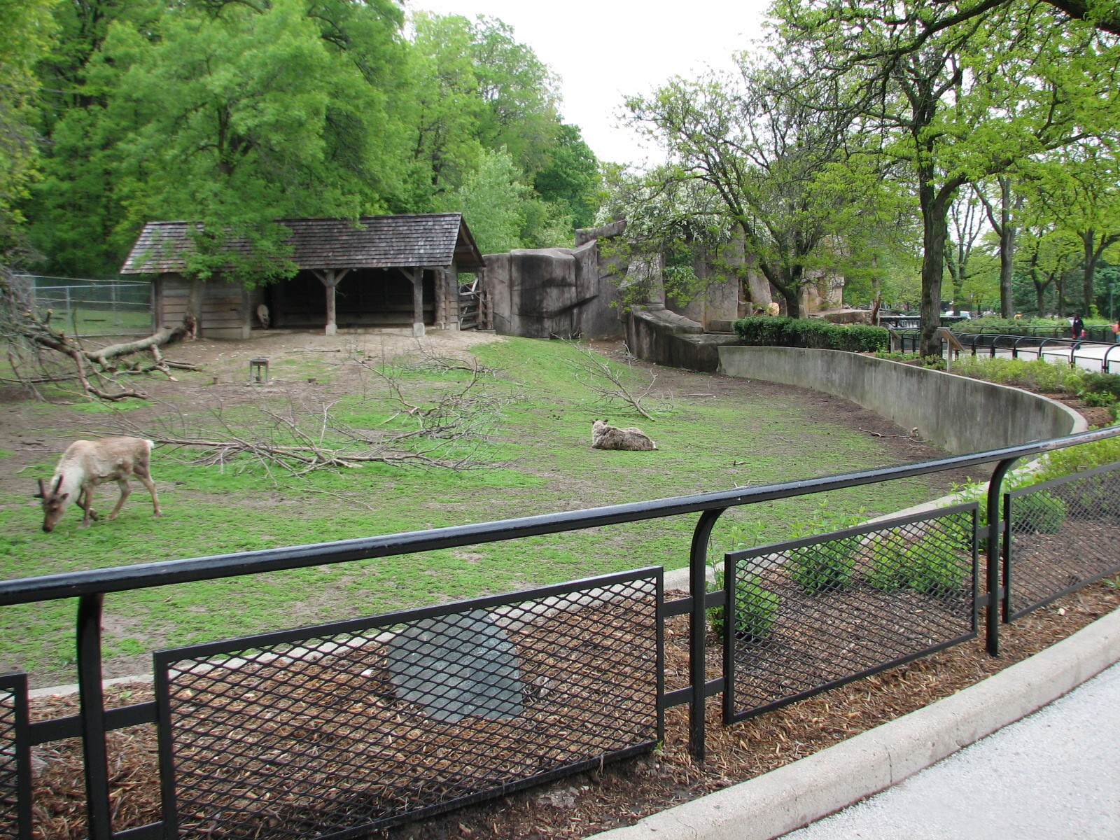 Caribou Exhibit