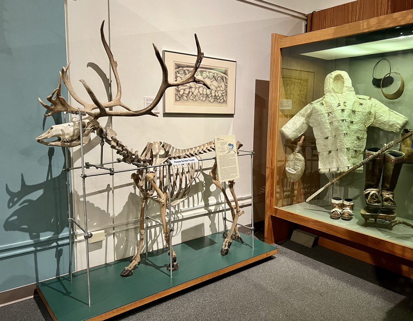 Caribou skeleton and Alaskan Native rain gear