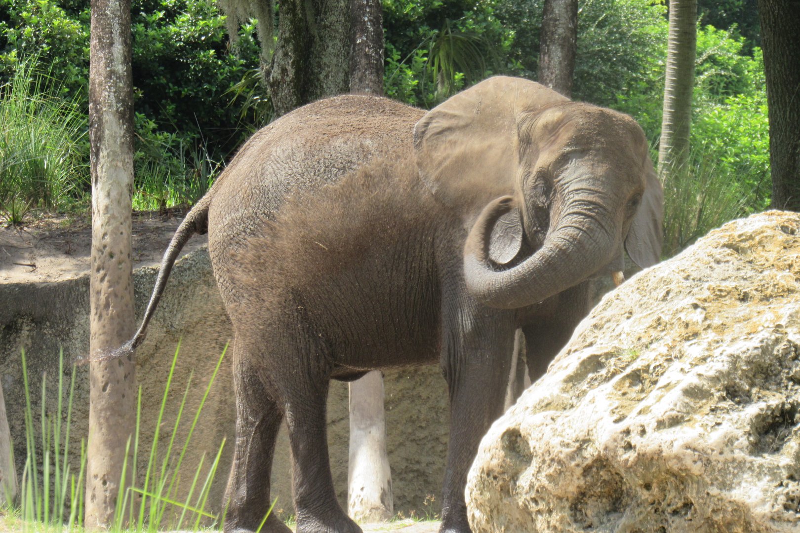 Caring for giants tour