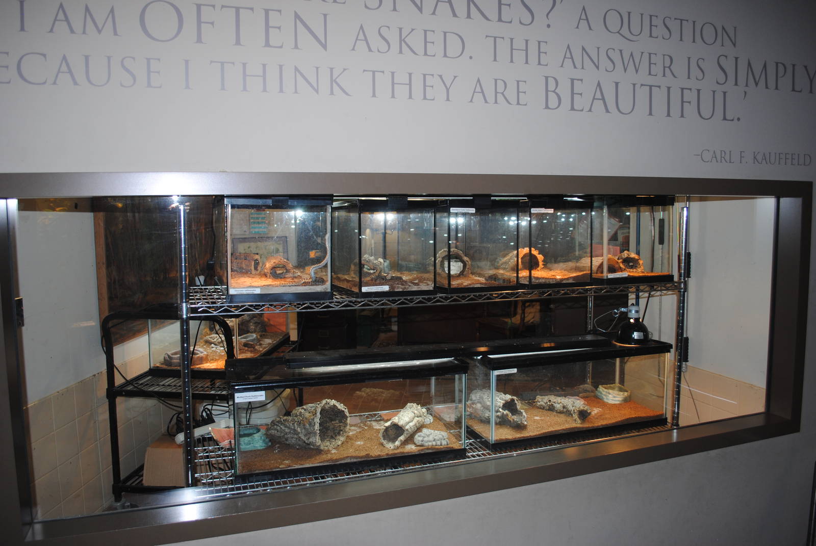 Carl Kauffeld Hall of Reptiles - Nursery