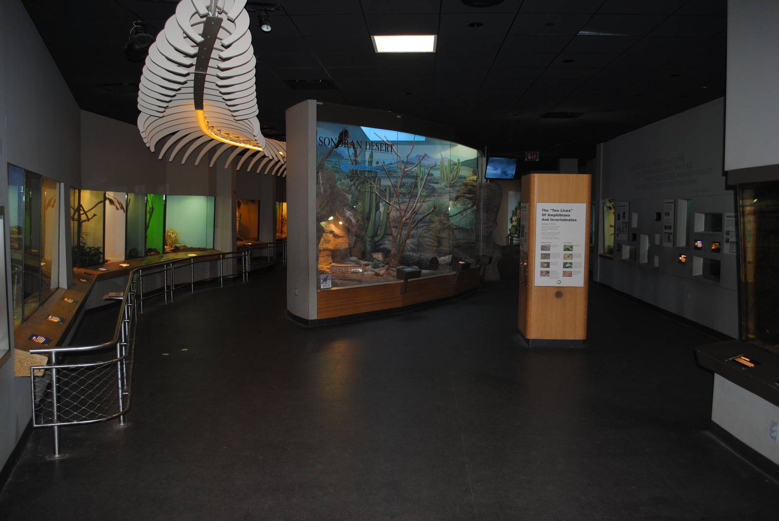 Carl Kauffeld Hall of Reptiles