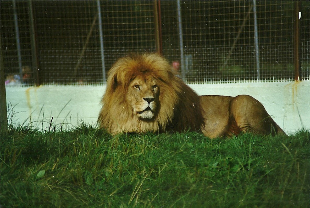 Carlon 14th August 1999