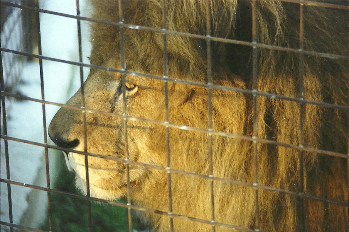 Carlon 5th December 1998