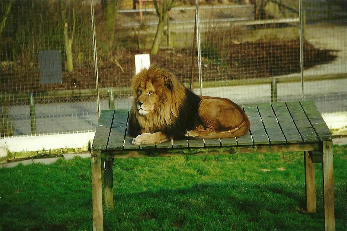 Carlon 6th February 1999