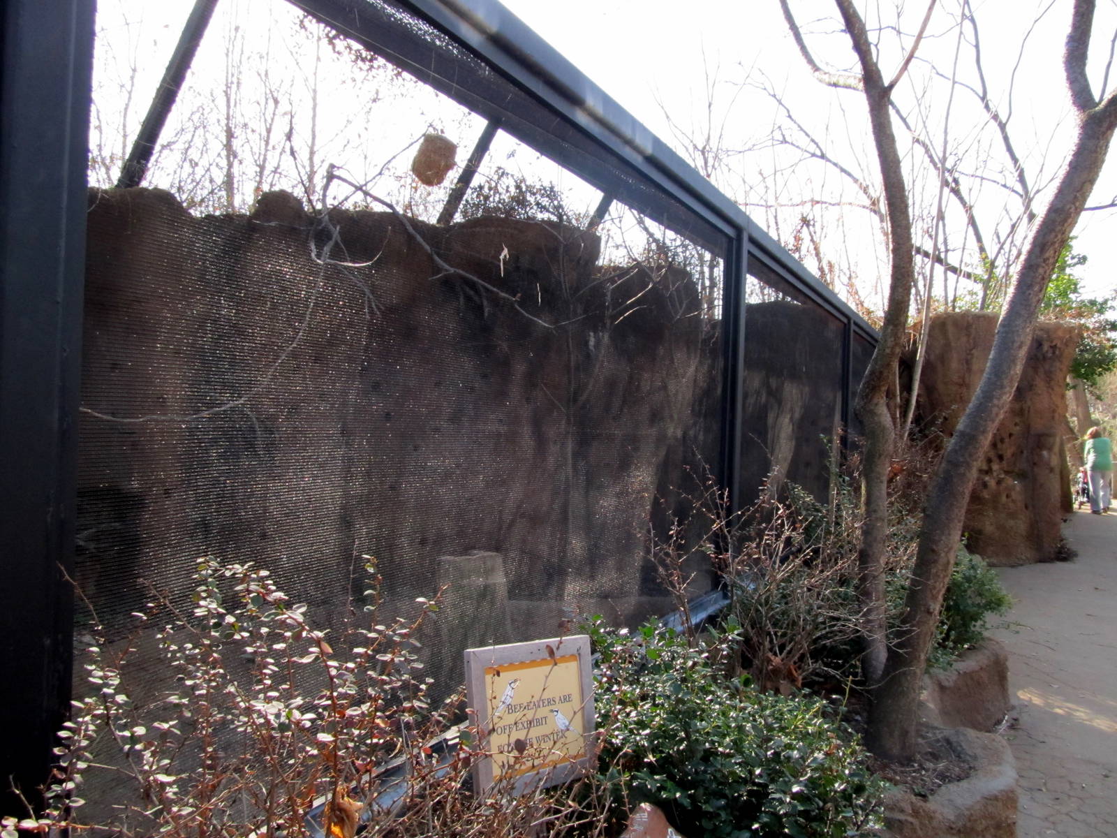 Carmine Bee-eater Aviary