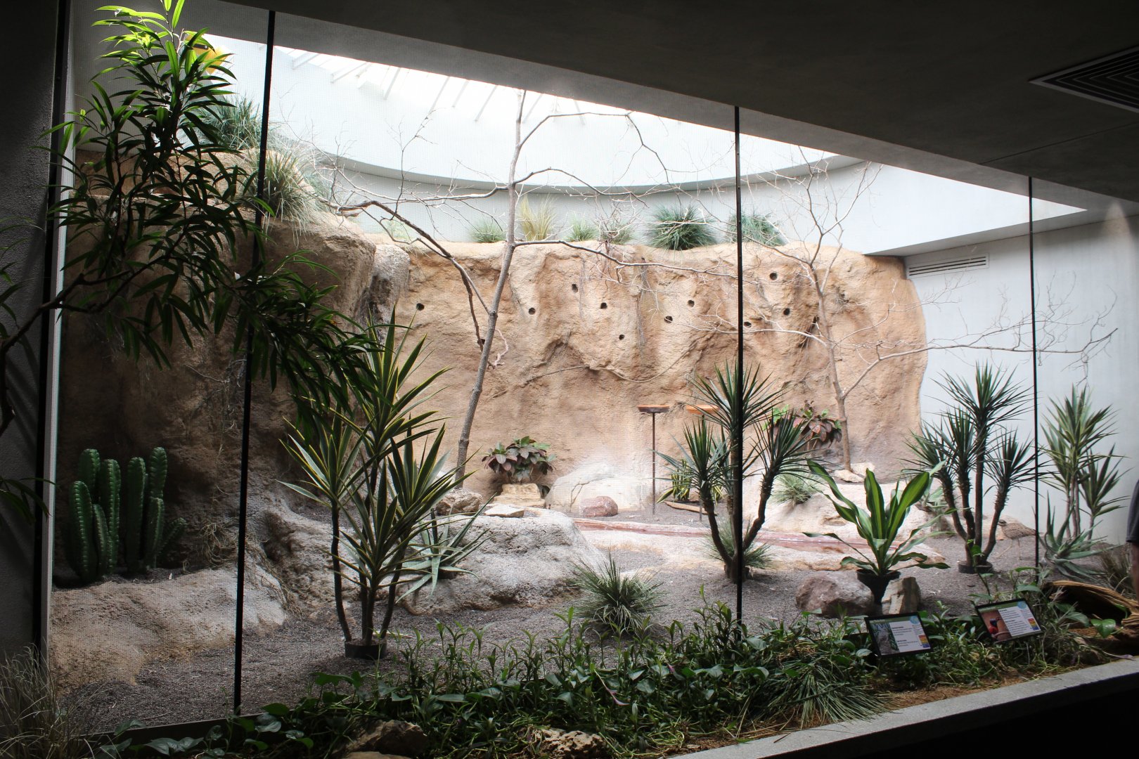 Carmine Bee-eater & Cape Thick-knee Exhibit - Bird House
