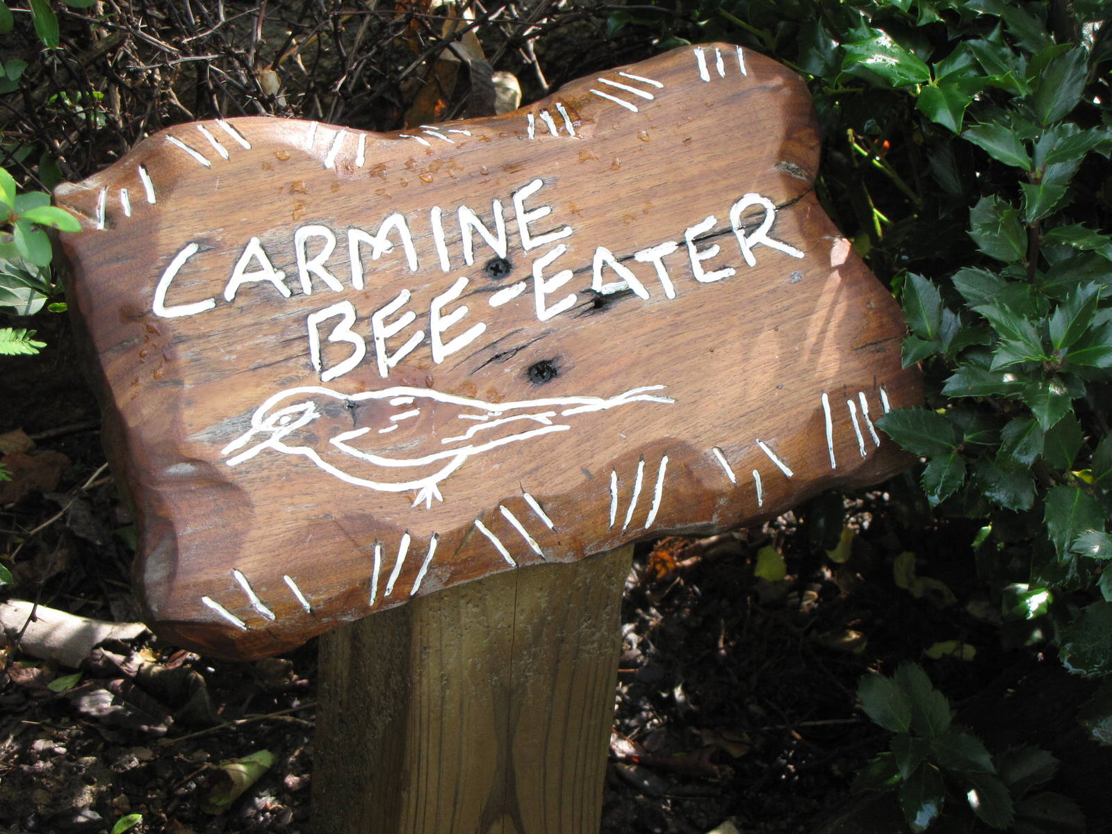 Carmine Bee-eater Signage - Rivers Edge