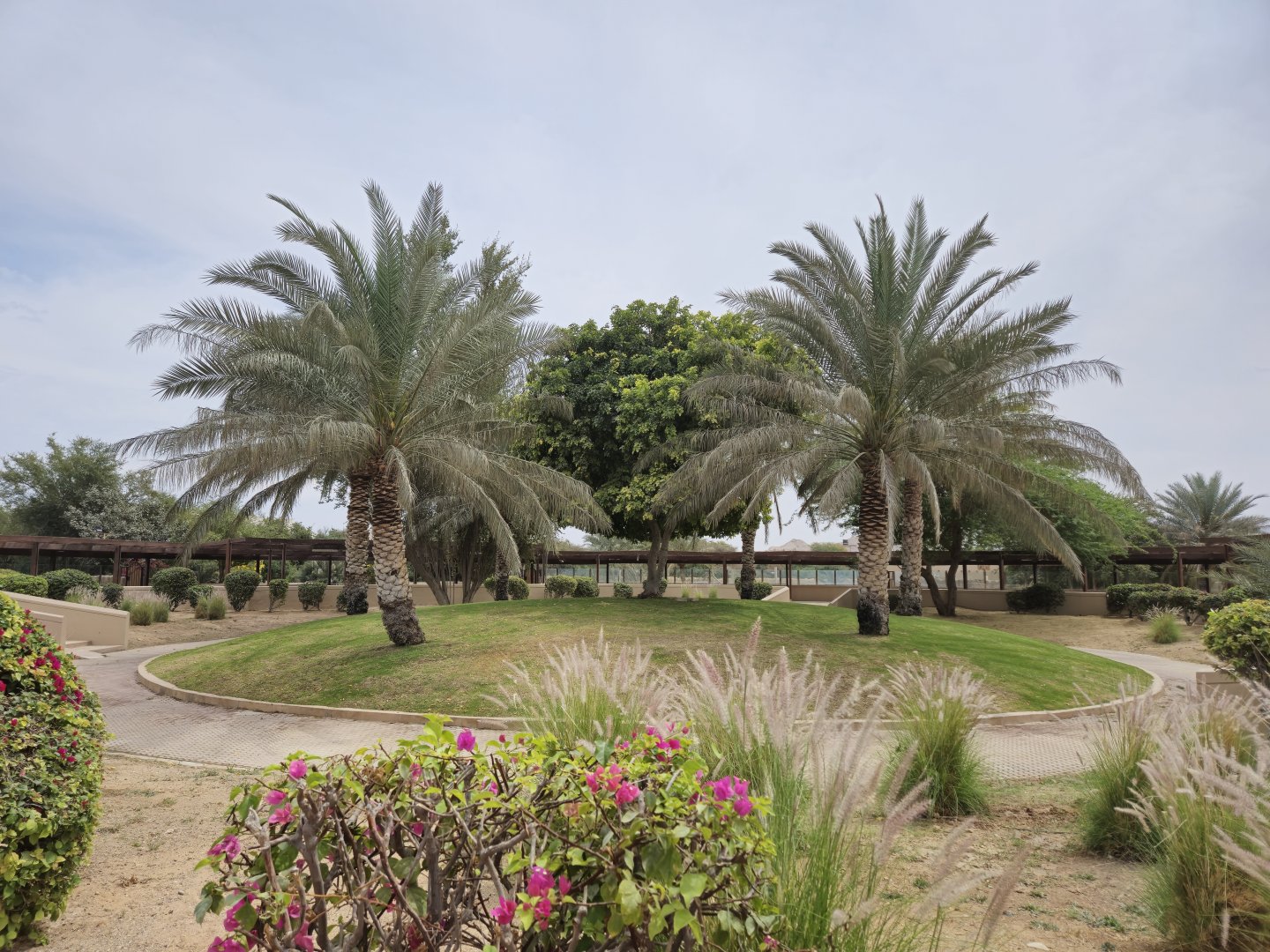 Carnivore area centerpiece