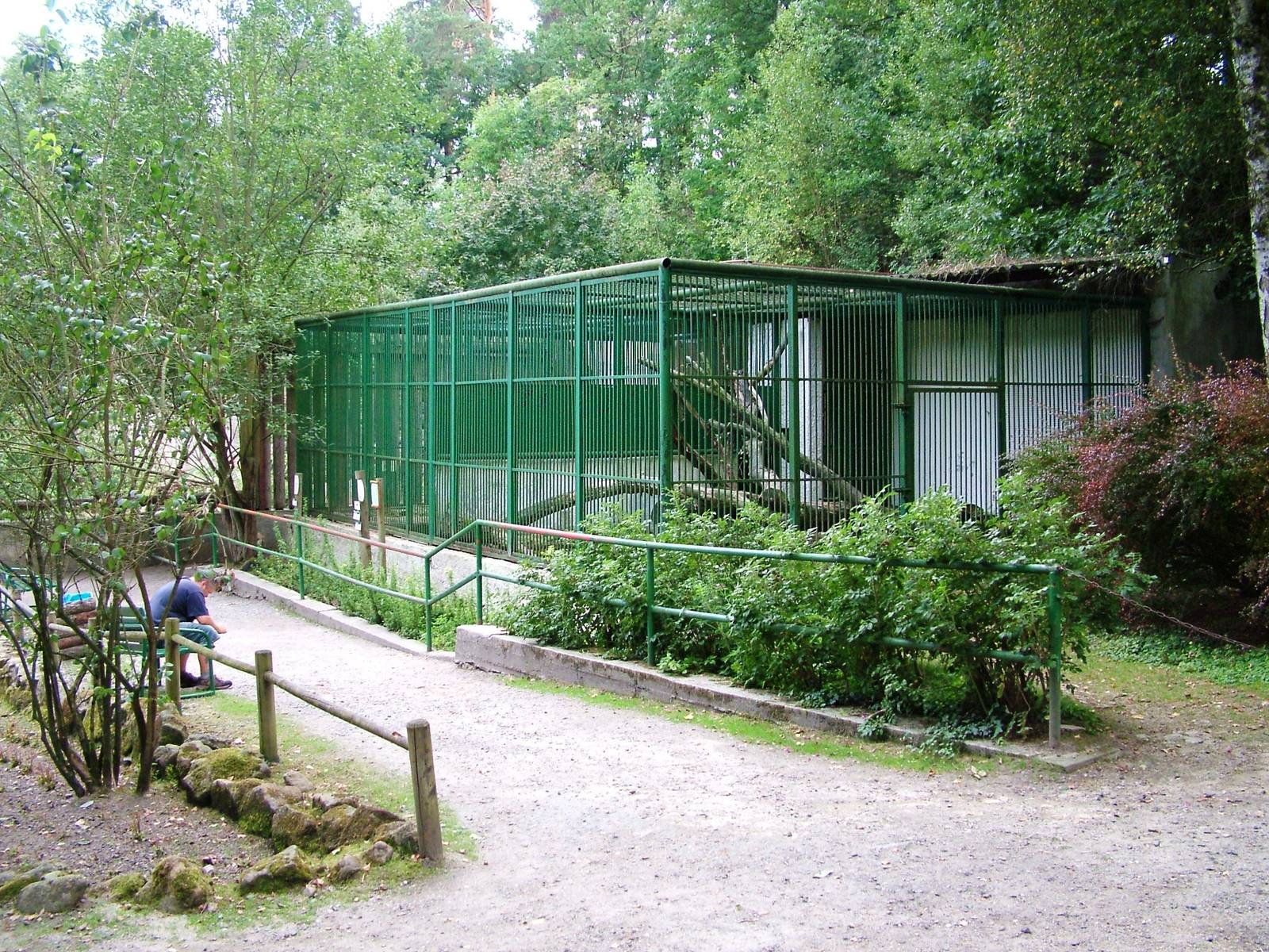 Carnivore Cages at Decin, 28/08/12