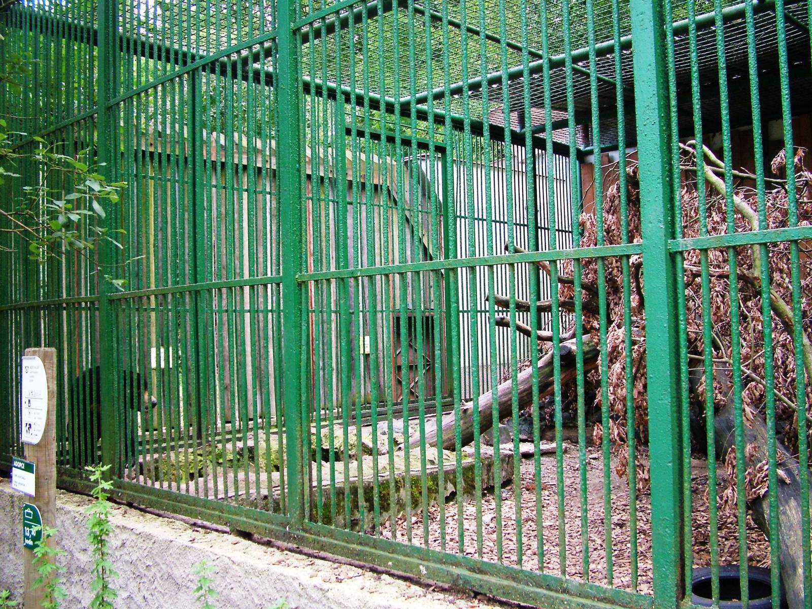 Carnivore Cages at Decin, 28/08/12