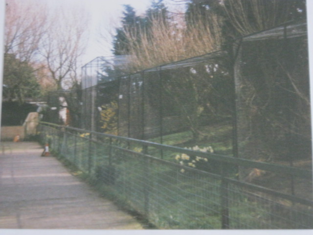 Carnivore cages. March 1994.
