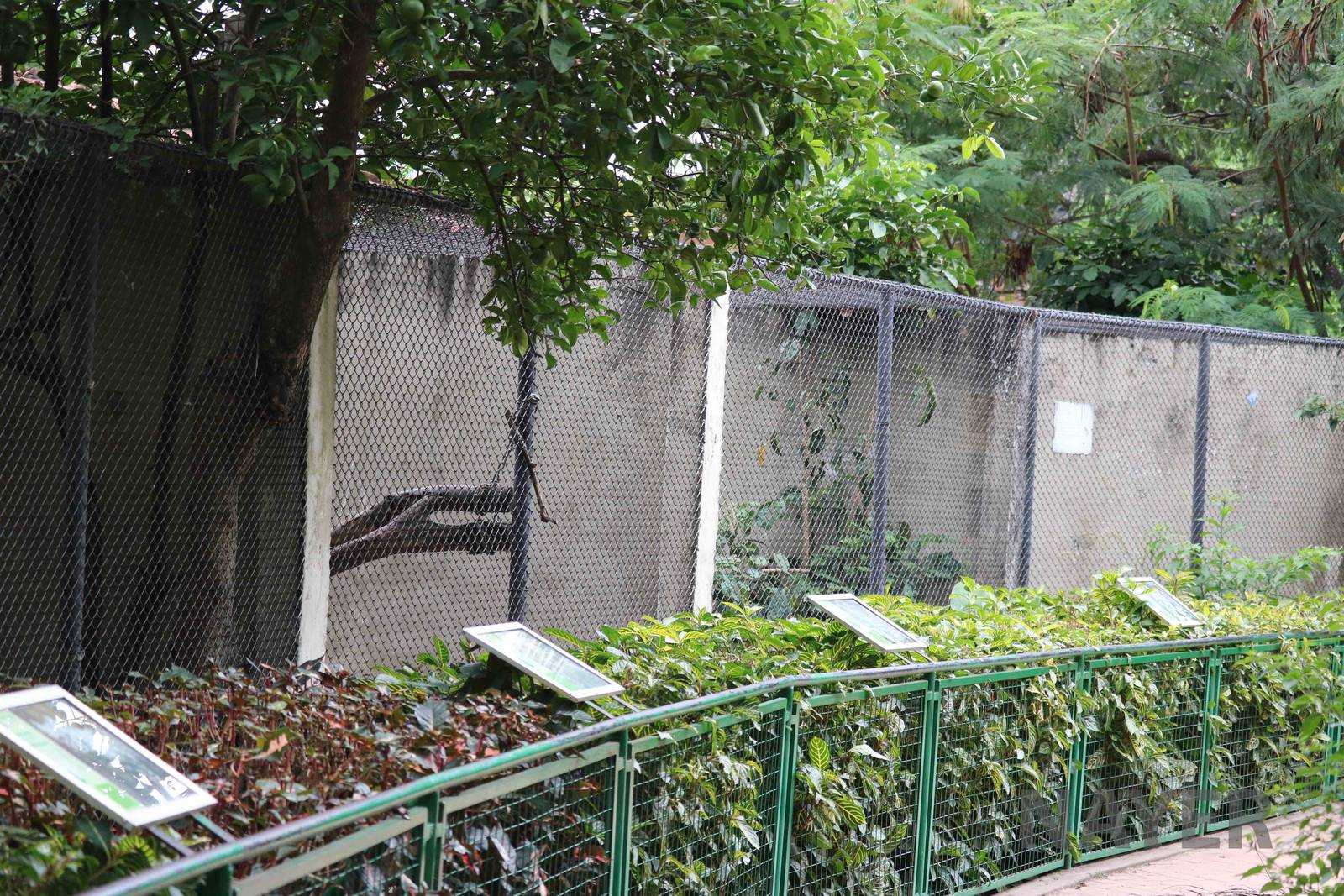 Carnivore cages, March 2016