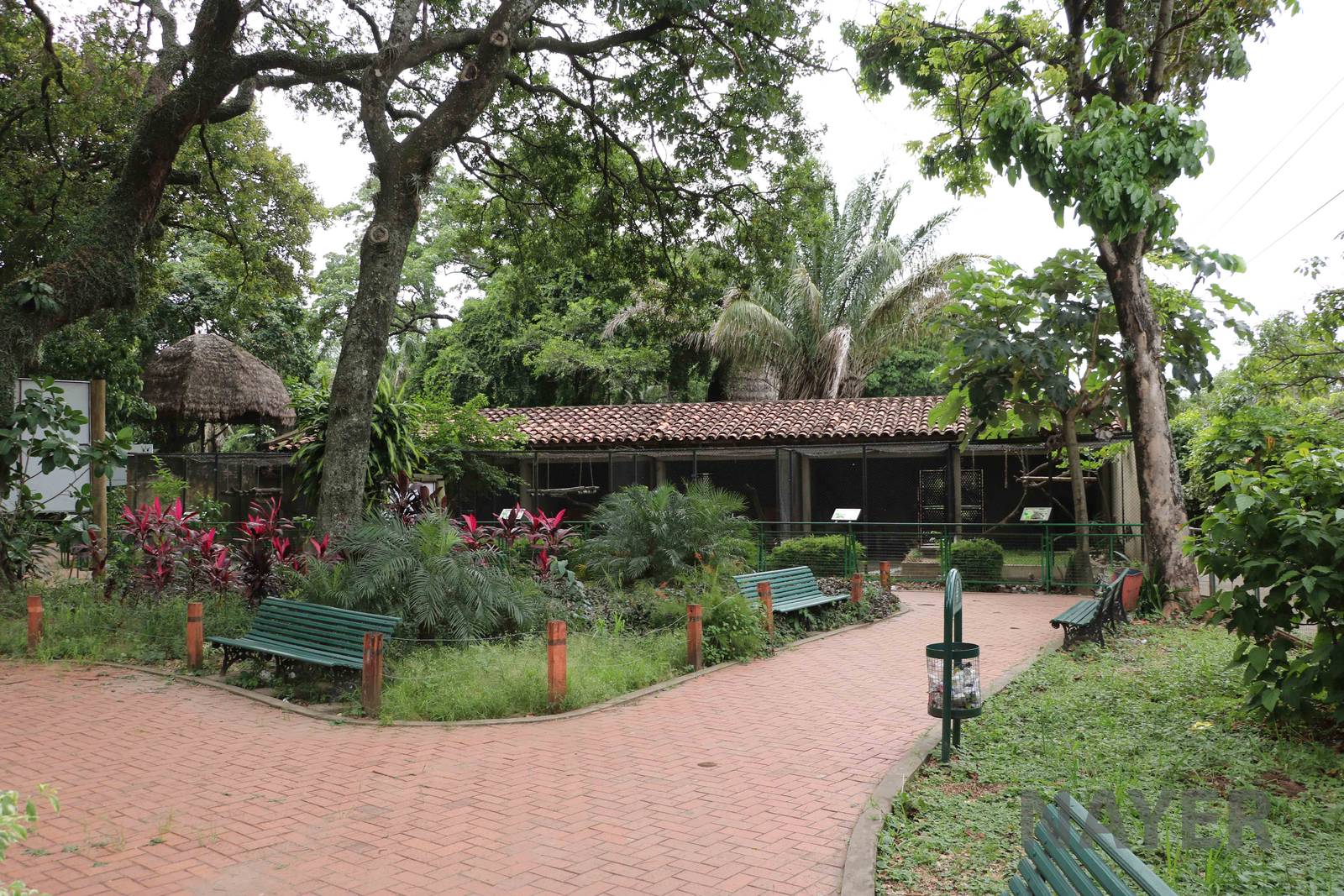 Carnivore cages, March 2016