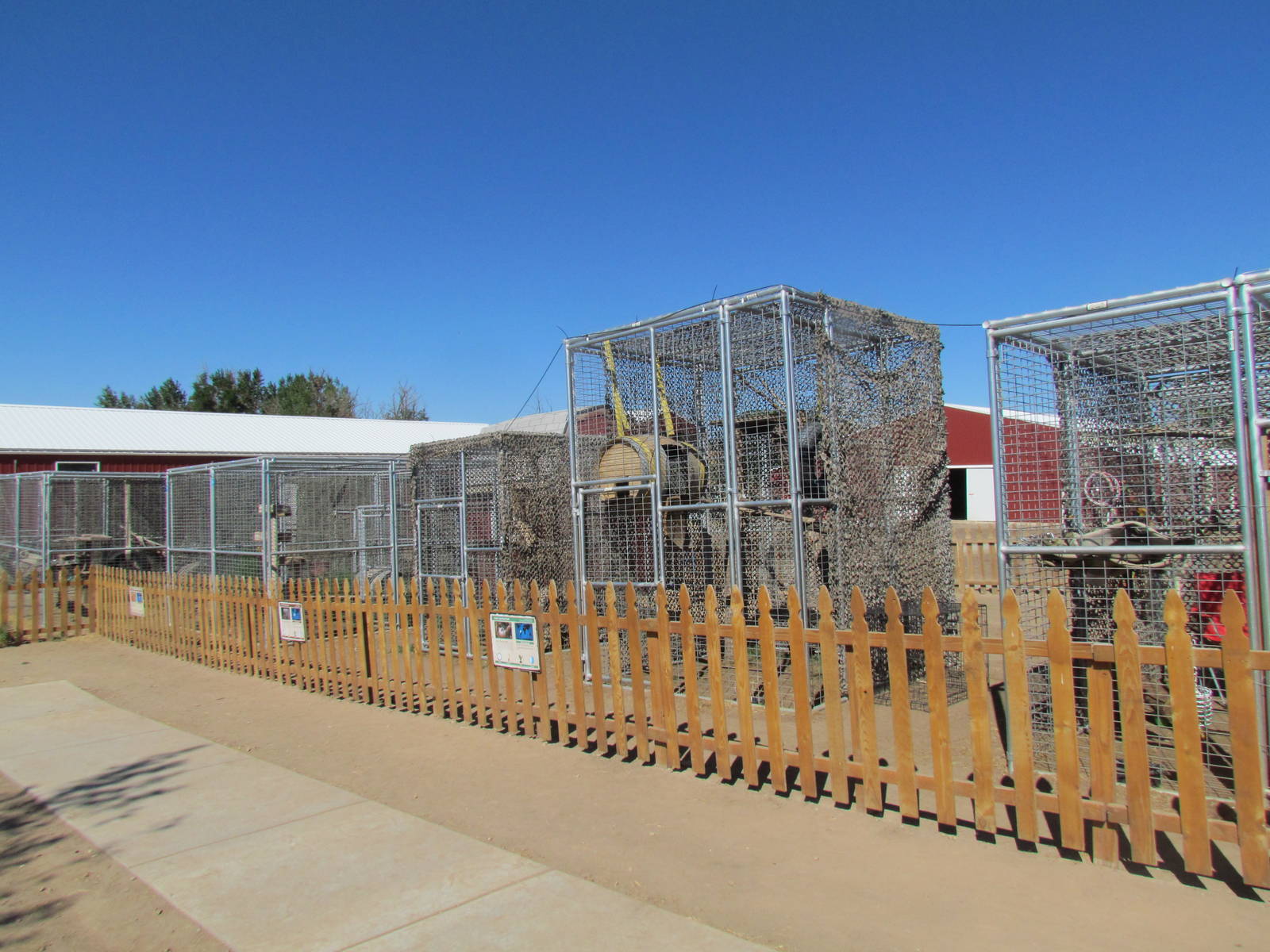 Carnivore Cages