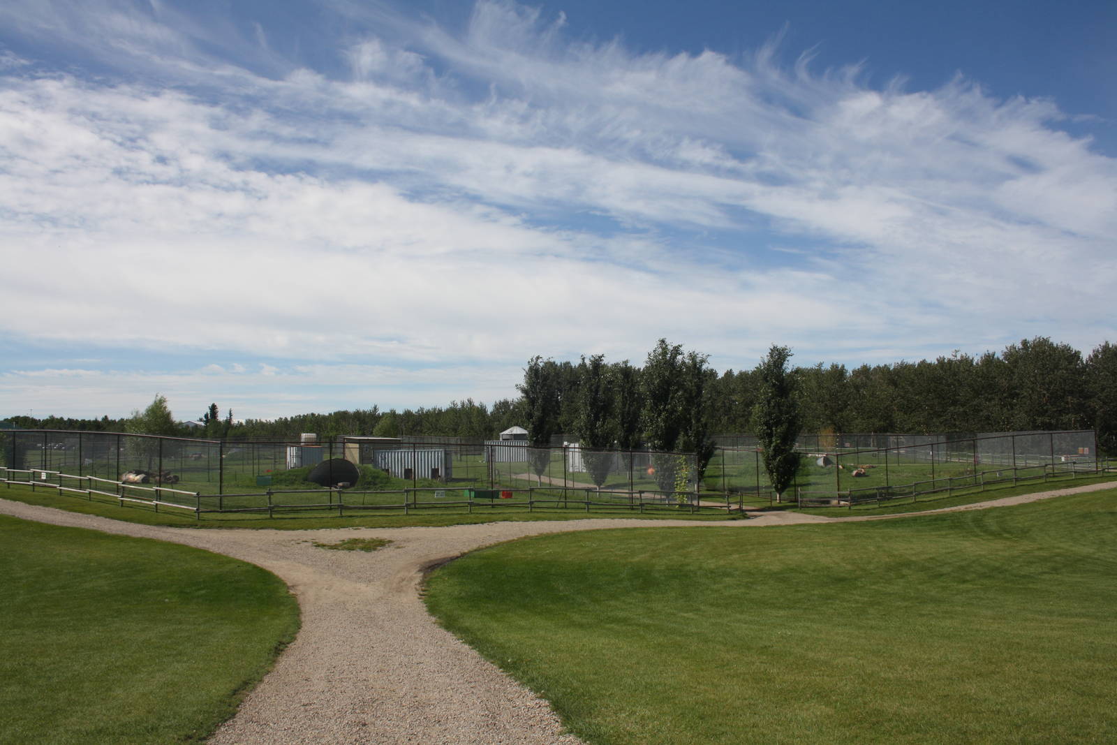 Carnivore Complex (6 Exhibits)