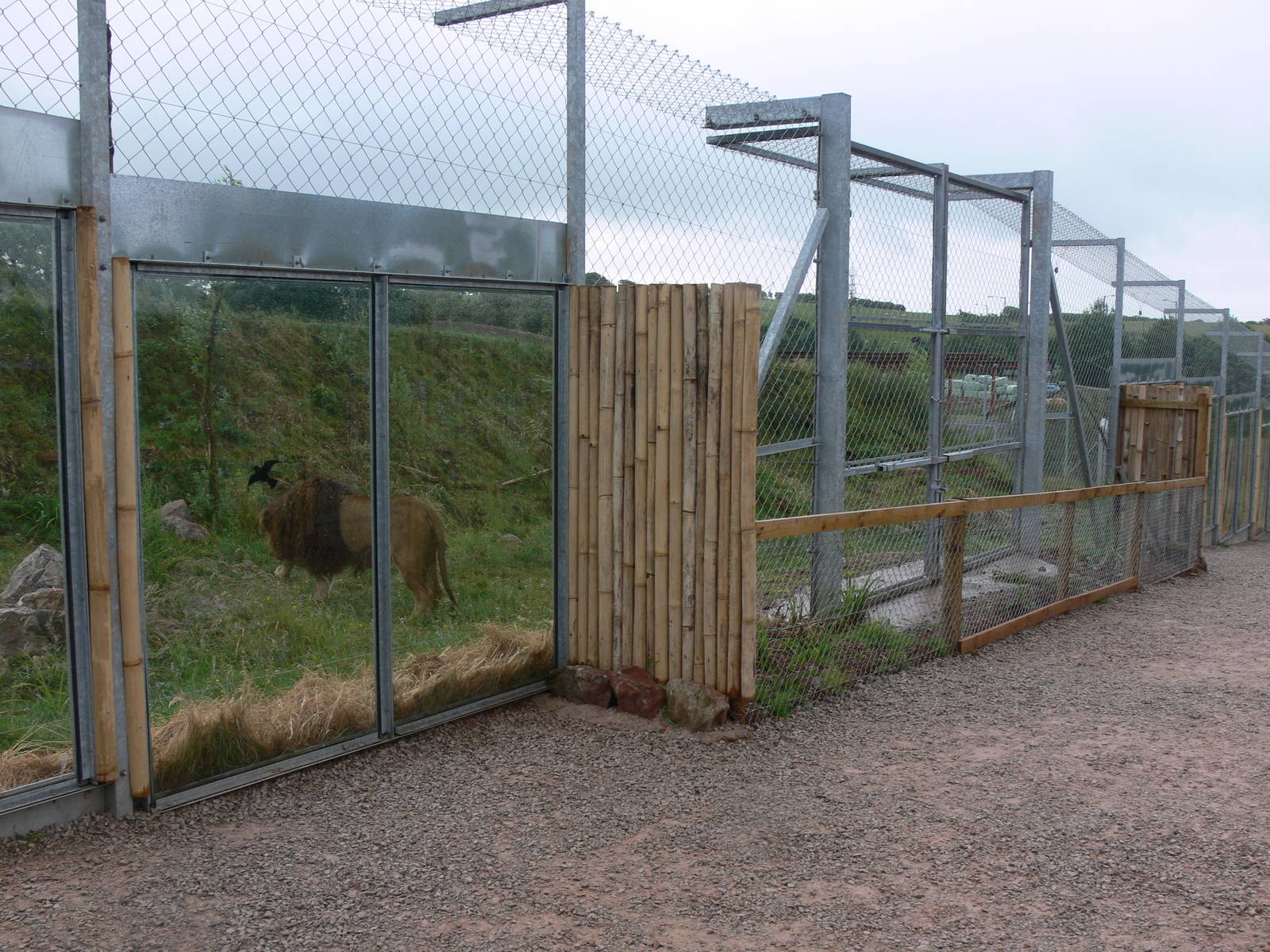 Carnivore Country at South Lakes, 04/07/14