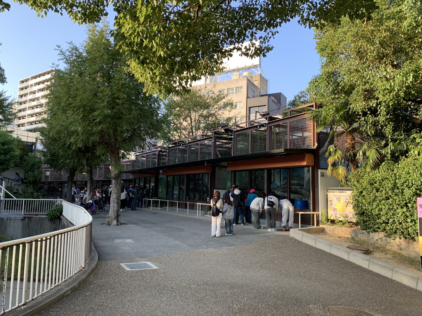 Carnivore Enclosures